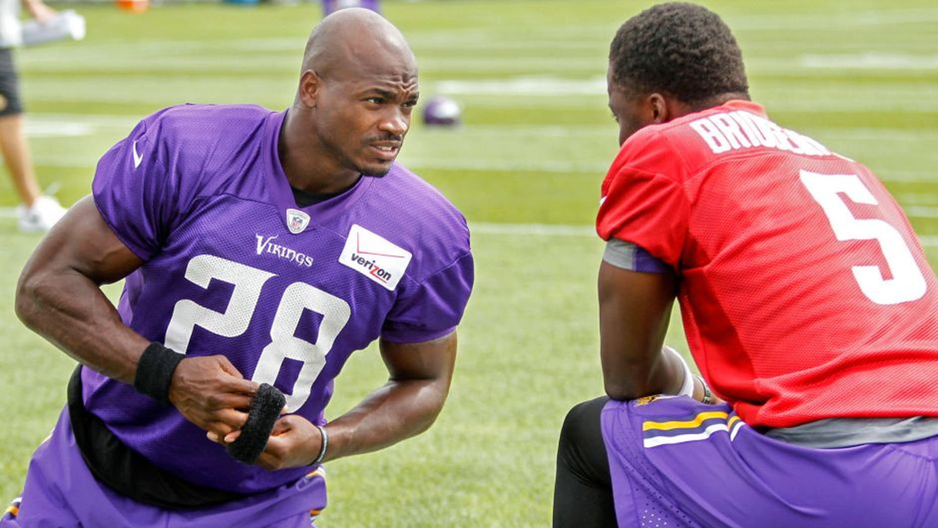 Jul 27, 2015; Mankato, MN, USA; Minnesota Vikings running back Adrian Peterson (28) talks with quarterback Teddy Bridgewater (5) before drills at training camp at Minnesota State University. Mandatory Credit: Bruce Kluckhohn-USA TODAY Sports