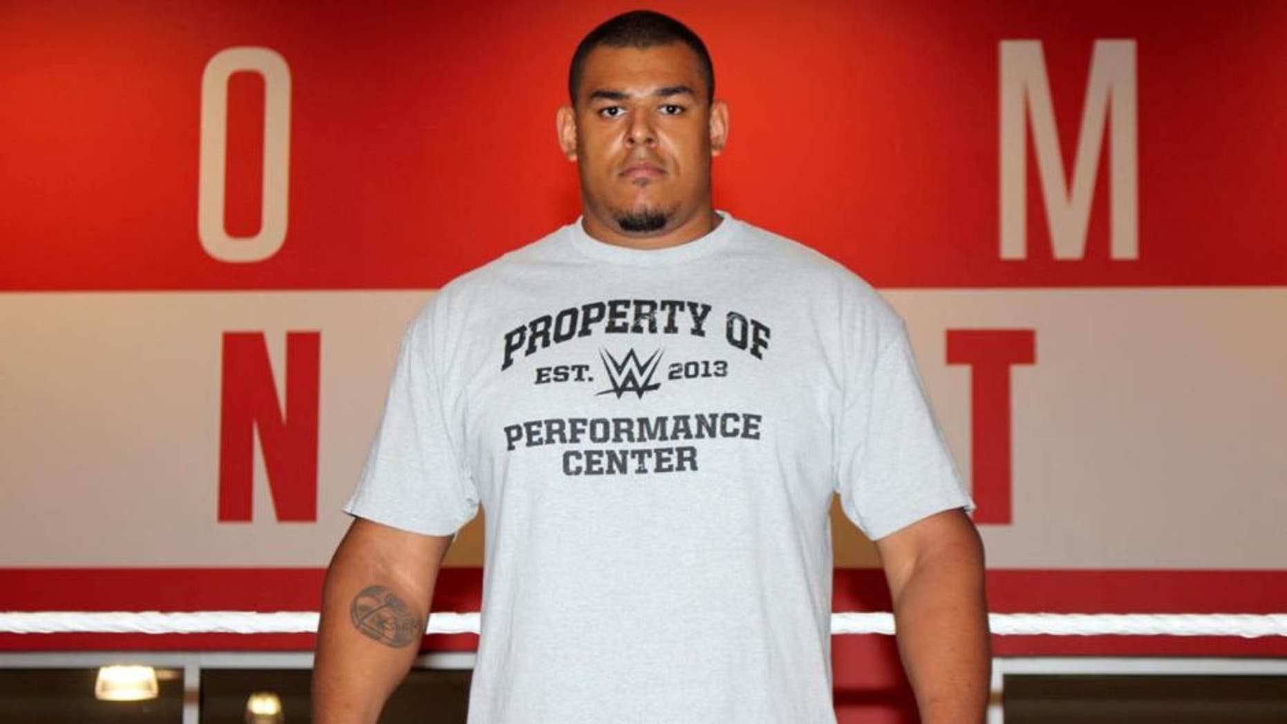 Poland's Babtunde Aiyegbusi was an offensive lineman for the Minnesota Vikings during the 2015 preseason.