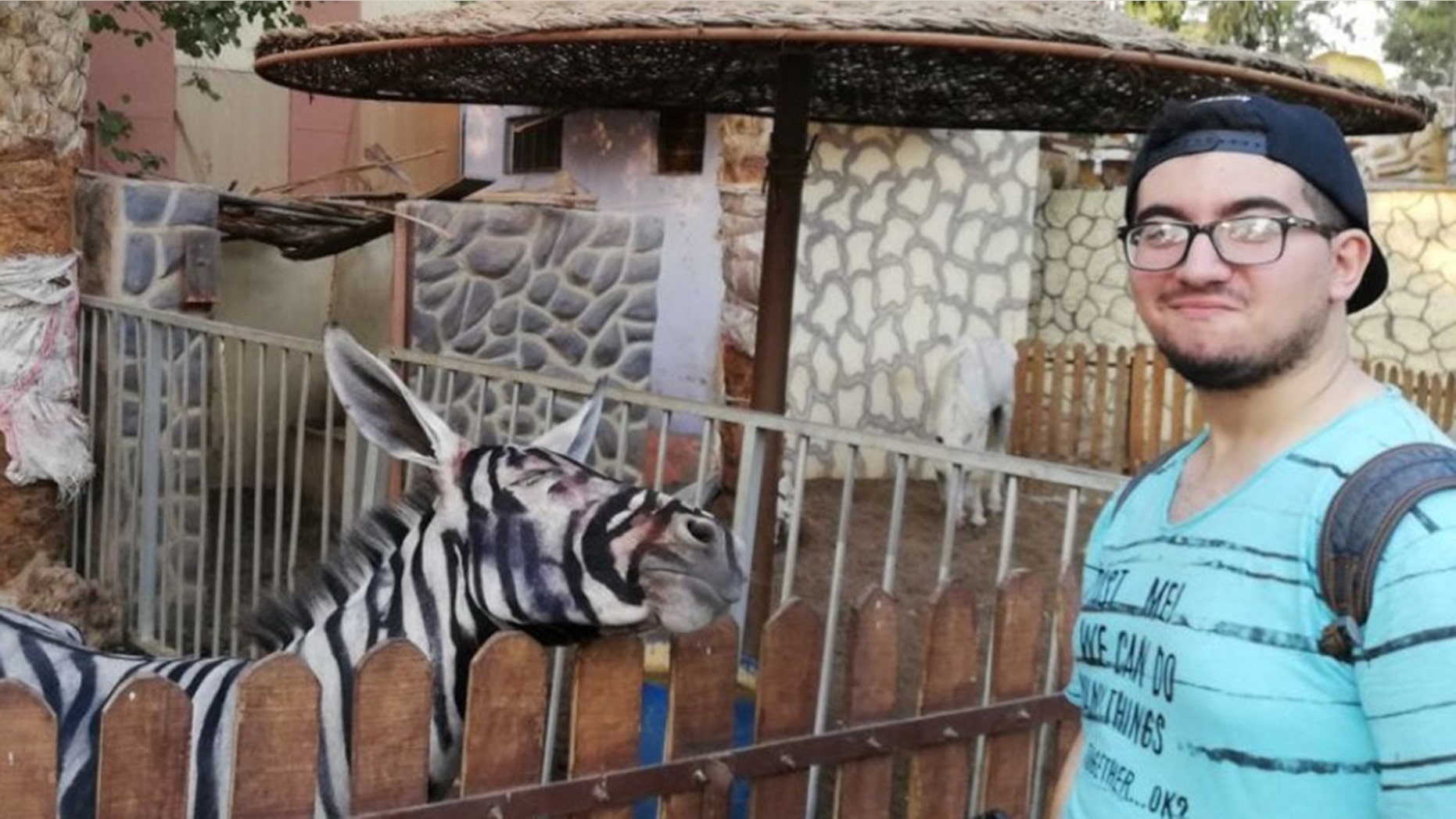 Mahmoud Sarhan visited a Cairo zoo and saw a zebra that did not look quite right.