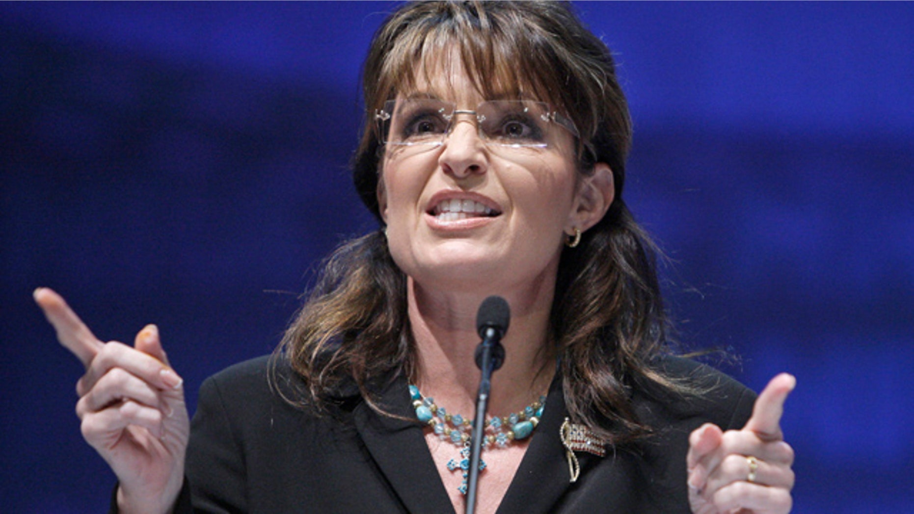 May 14: Sarah Palin speaks during the NRA national convention in Charlotte, N.C.