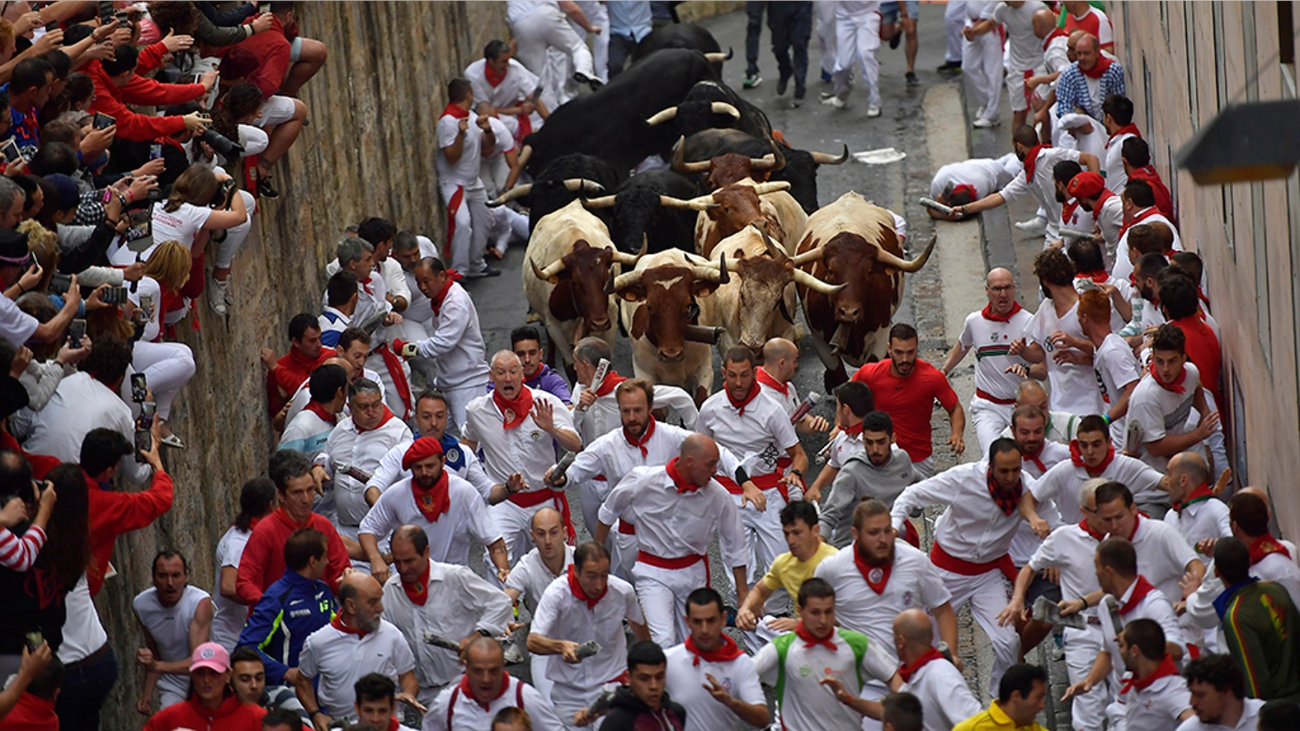 Revellers run next to Puerto de San Lorenzo's fighting bulls during the running of the bulls at the San Fermin Festival, in Pamplona, northern Spain, Saturday.