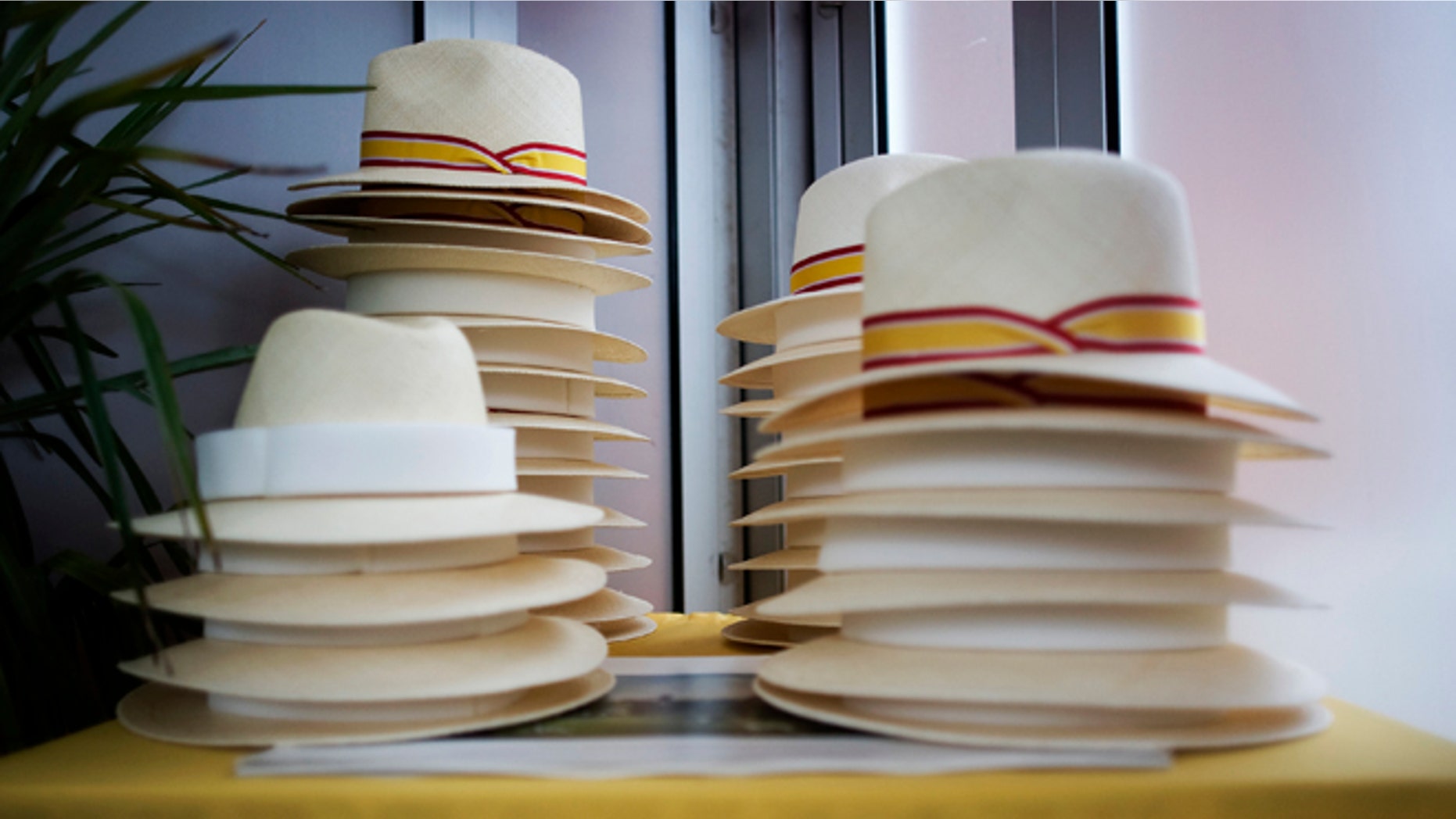 CHICHESTER, ENGLAND - JULY 26: Panama hats are displayed at Goodwood racecourse on July 26, 2011 in Chichester, England. (Photo by Alan Crowhurst/Getty Images)