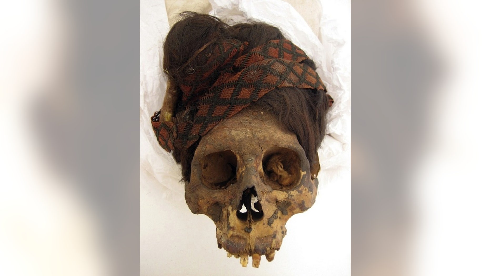 To learn more about the mummies' diets, the researchers took hair samples from 14 individuals and two hair artifacts found at the Paracas Necropolis. This individual wears a red and black headdress.