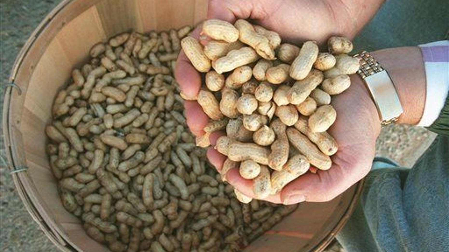 In this Dec. 16, 1997 file photo, feed store owner Jerry Foote of Seminole, Texas, holds a handful of peanuts grown in Gaines County.