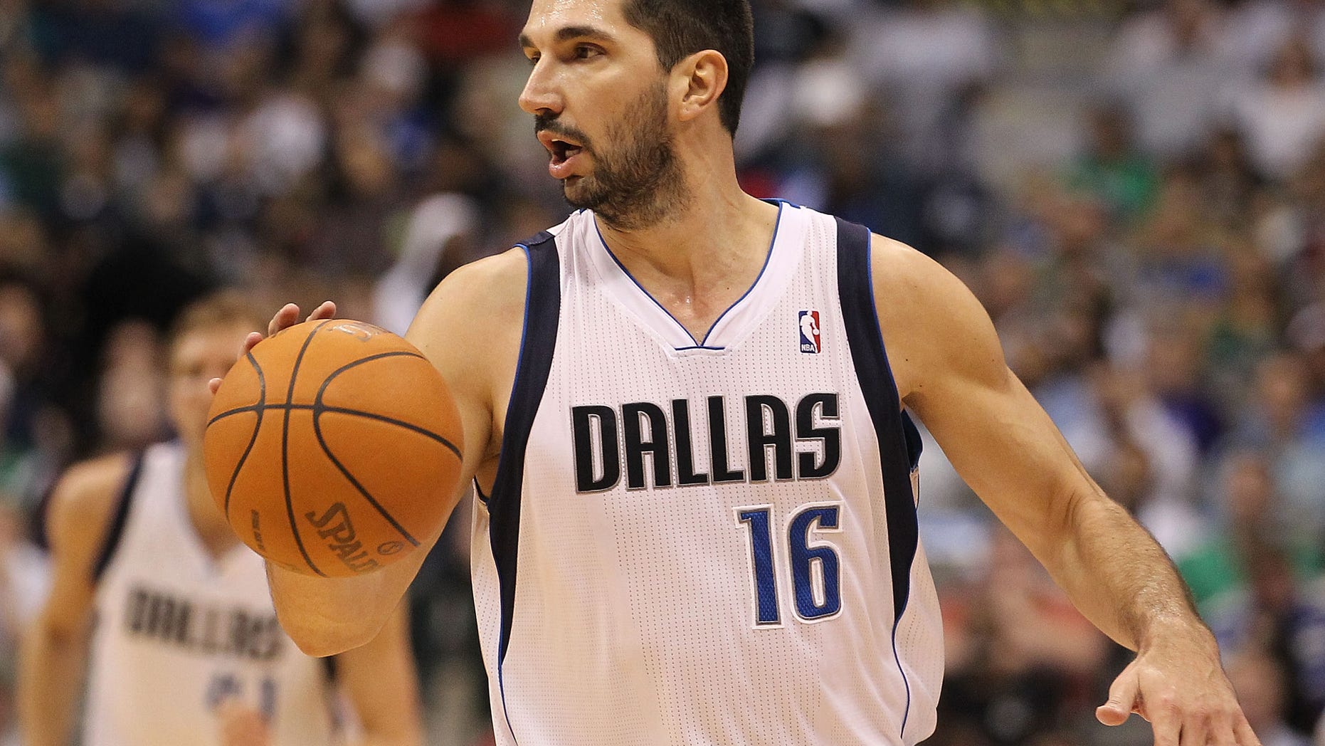 Peja Stojakovic