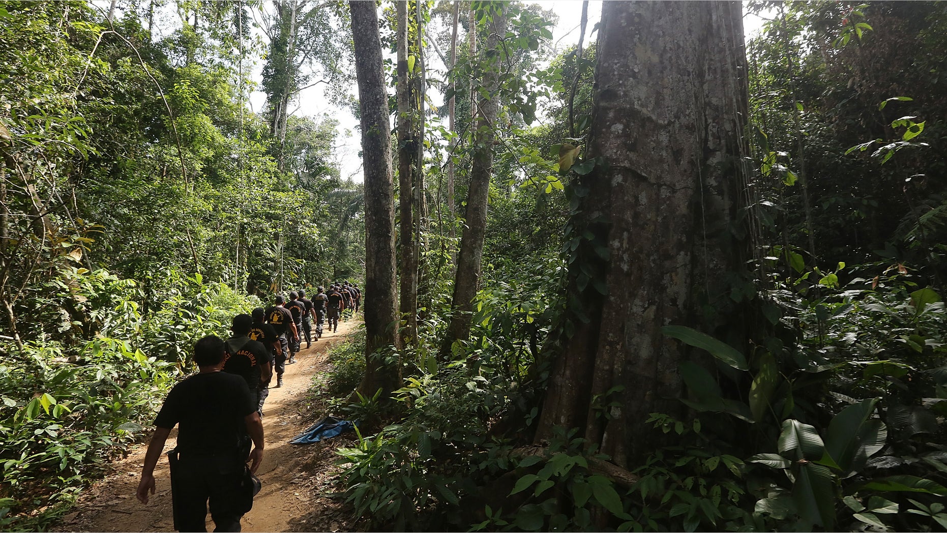 MADRE DE DIOS REGION, PERU - NOVEMBER 17: National Police officers search for illegal mining operations in the Amazon lowlands on November 17, 2013 in Madre de Dios region, Peru. Police eventually destroyed three pieces of illegal mining equipment in the area. The biologically diverse Madre de Dios ('Mother of God') region has seen deforestation from gold mining in the area triple since 2008, when gold prices spiked during global economic turmoil. Small-scale miners are drawn to the area in hopes for higher pay but often face abysmal conditions. Gold is usually amalgamated with mercury during the process of informal mining in the region, which is discharged into the water supply and air, poisoning fish and sickening people in the area. Peru is the largest producer of gold in Latin America and the sixth-largest in the world. Informal mining accounts for roughly 20 percent of the gold production in Peru. (Photo by Mario Tama/Getty Images)