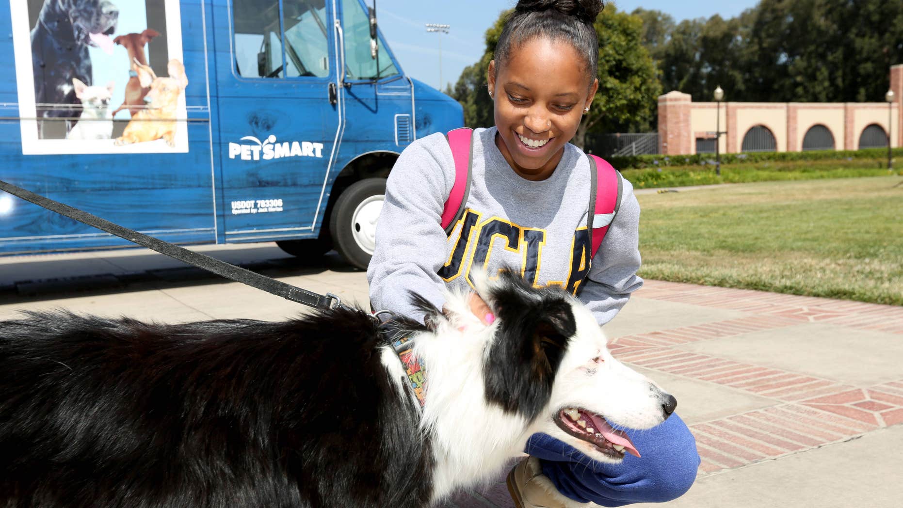 PetSmart kicks off the Inspiration Waggin' tour with a bus filled with pups on Friday, May 9, 2014, in Los Angeles. (Photo by Casey Rodgers/Invision for PetSmart/AP Images)