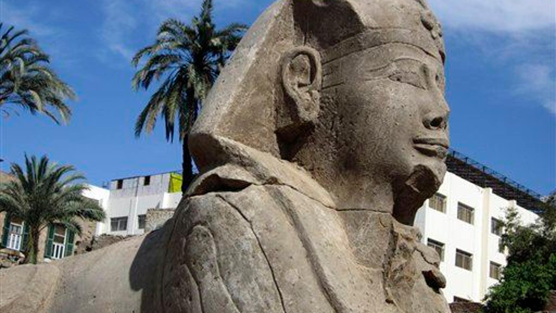 This photo released by the Egyptian Supreme Council of Antiquities in 2010 shows an unearthed sphinx statue of Pharaoh Nectanebo I.