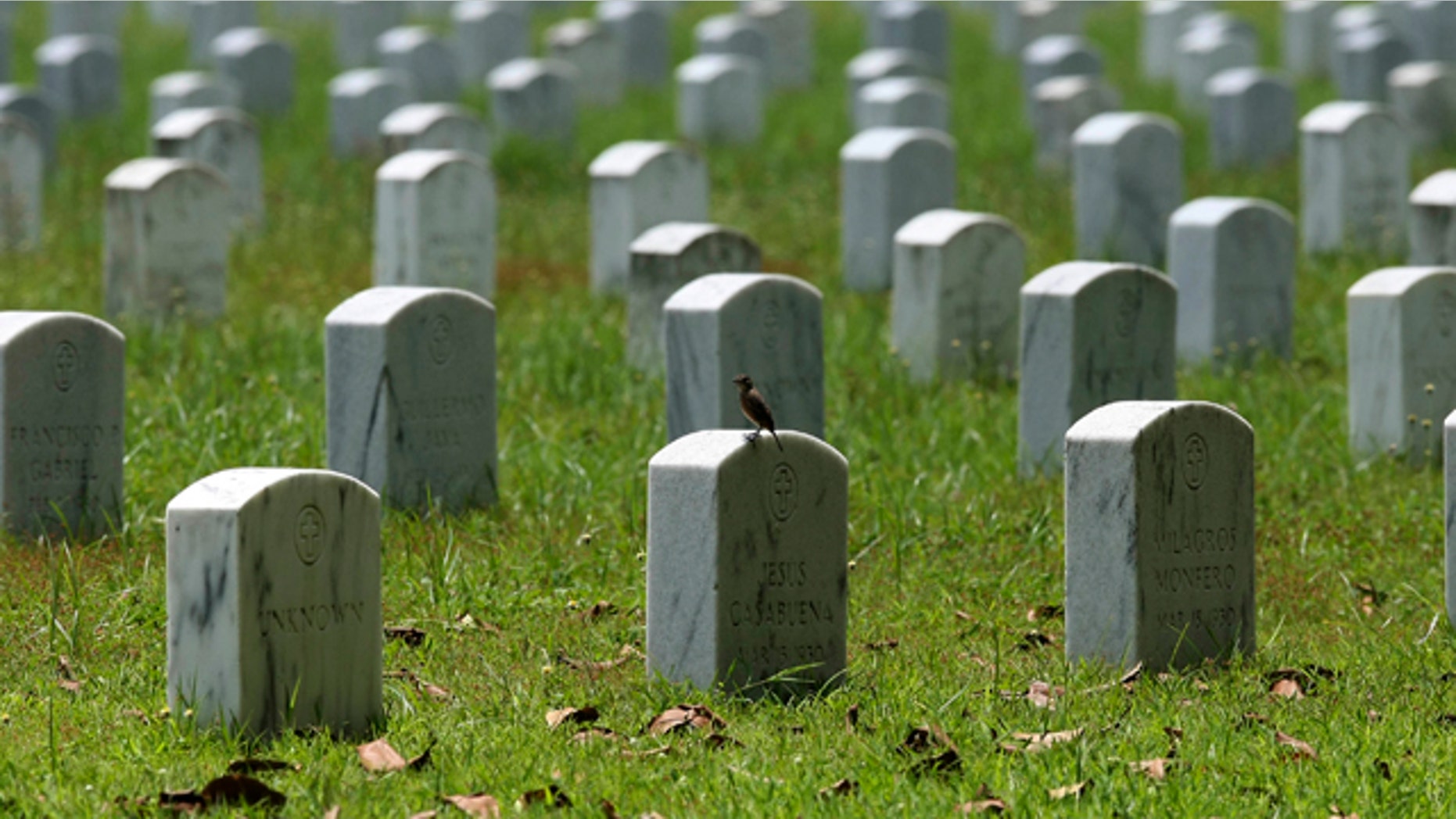 July 1: A bird is perched on one of the tombstones at Clark Veterans Cemetery.