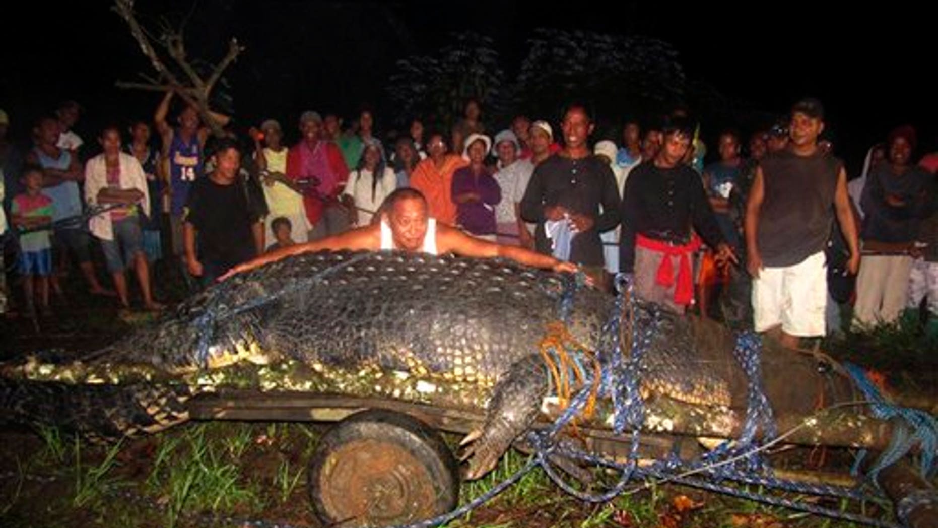 Sept. 4, 2011: Mayor Cox Elorde of Bunawan township, Agusan del Sur Province, pretends to measure a huge crocodile which was captured by residents and crocodile farm staff along a creek in Bunawan.