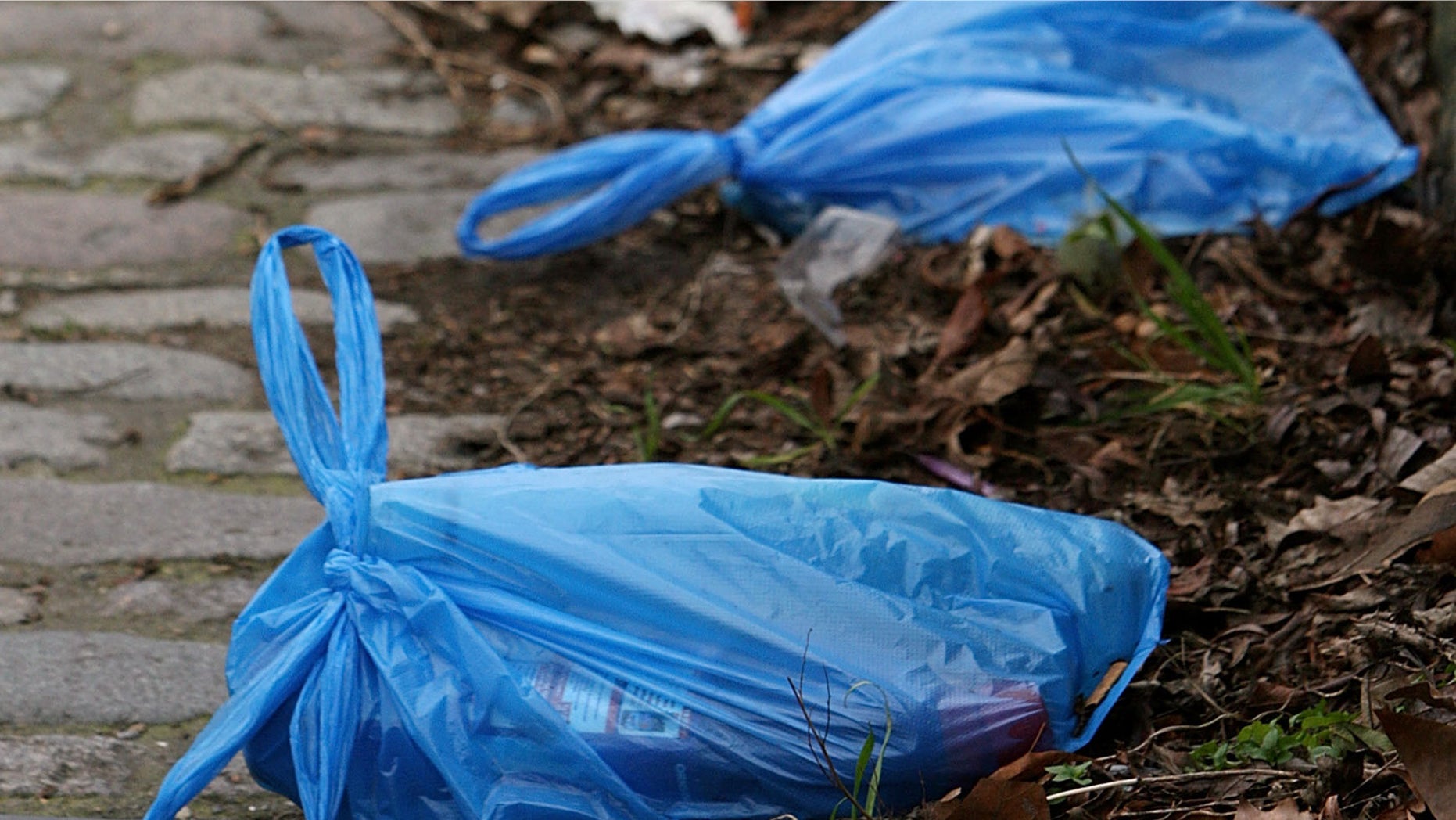LONDON - MARCH 03: Plastic bags of rubbish discarded on a walkway near Regent's Canal on February 29, 2008 in London, England. The Prime Minister Gordon Brown has stated that he will force retailers to help reduce the use of plastic bags if they do not do so voluntarily. (Photo by Cate Gillon/Getty Images)