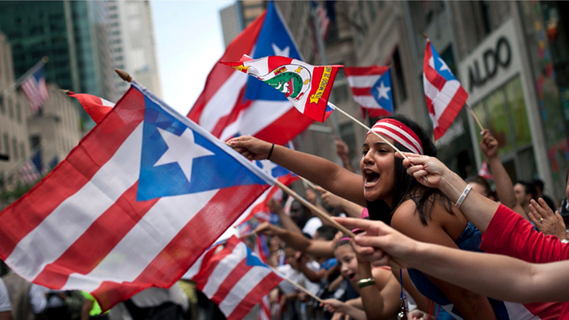NEW YORK, NY - JUNE 10: Revelers wave flags along Fifth Avenue during the Puerto Rican Day Parade on June 10, 2012 in New York City. The Puerto Rican Day Parade draws hundreds of thousands and was first celebrated in New York City in 1958. (Photo by Allison Joyce/Getty Images)