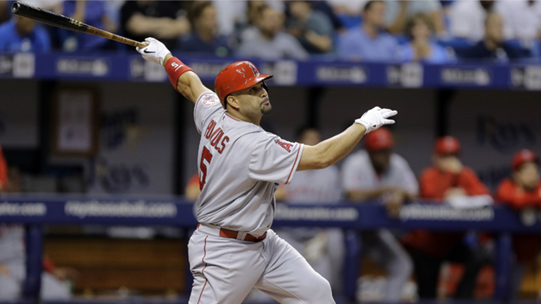 Los Angeles Angels' Albert Pujols follows the flight of his home run off Tampa Bay Rays starting pitcher Nathan Karns during the fifth inning of a baseball game Tuesday, June 9, 2015, in St. Petersburg, Fla. (AP Photo/Chris O'Meara)