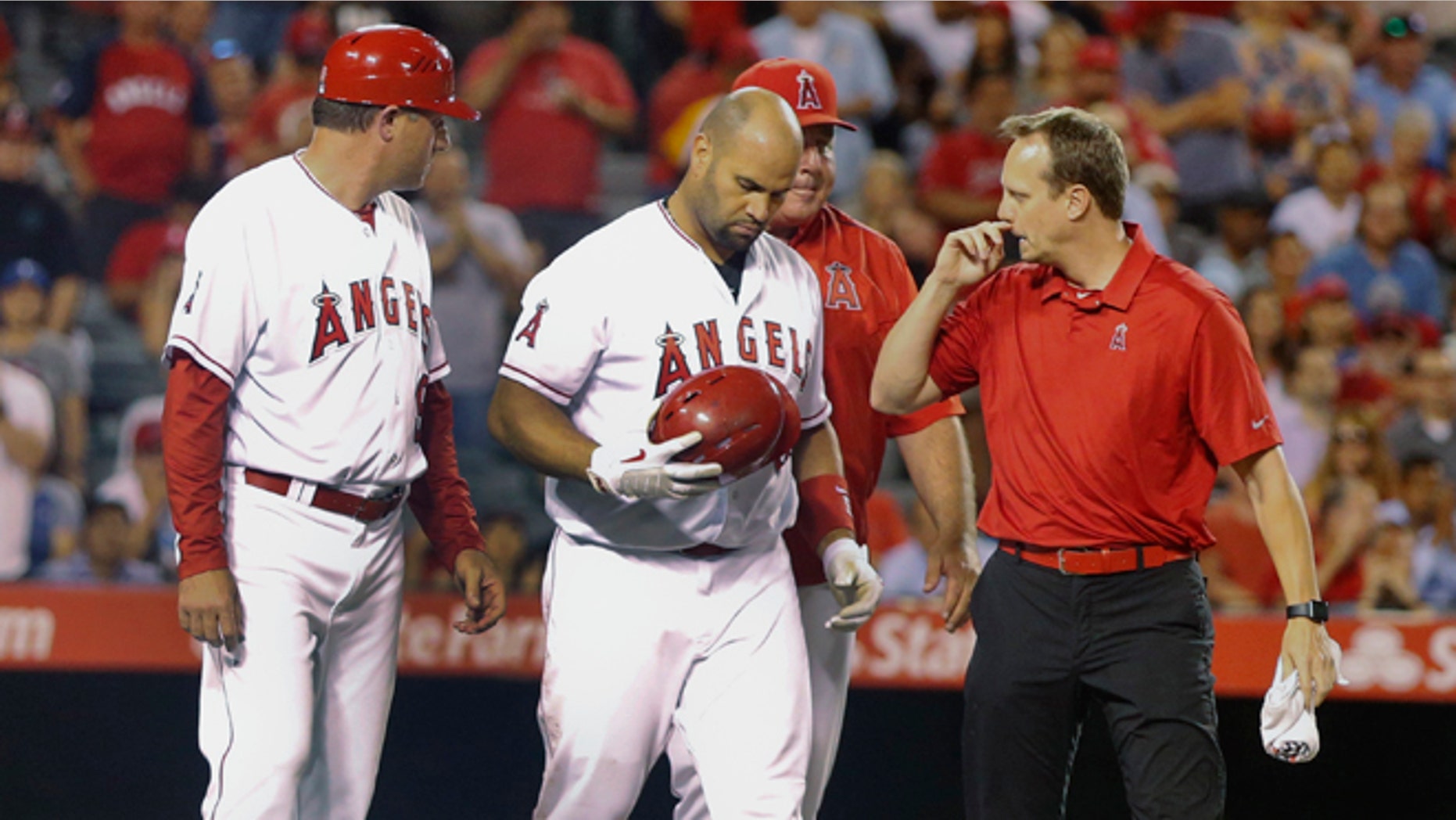 Los Angeles Angels' Albert Pujols is examined after being hit in the head by a pitch while batting in the seventh inning against the Texas Rangers in a baseball game Tuesday, July 19, 2016, in Anaheim, Calif. Pujols had hit two three run homers against the Rangers earlier in the game. (AP Photo/Lenny Ignelzi)