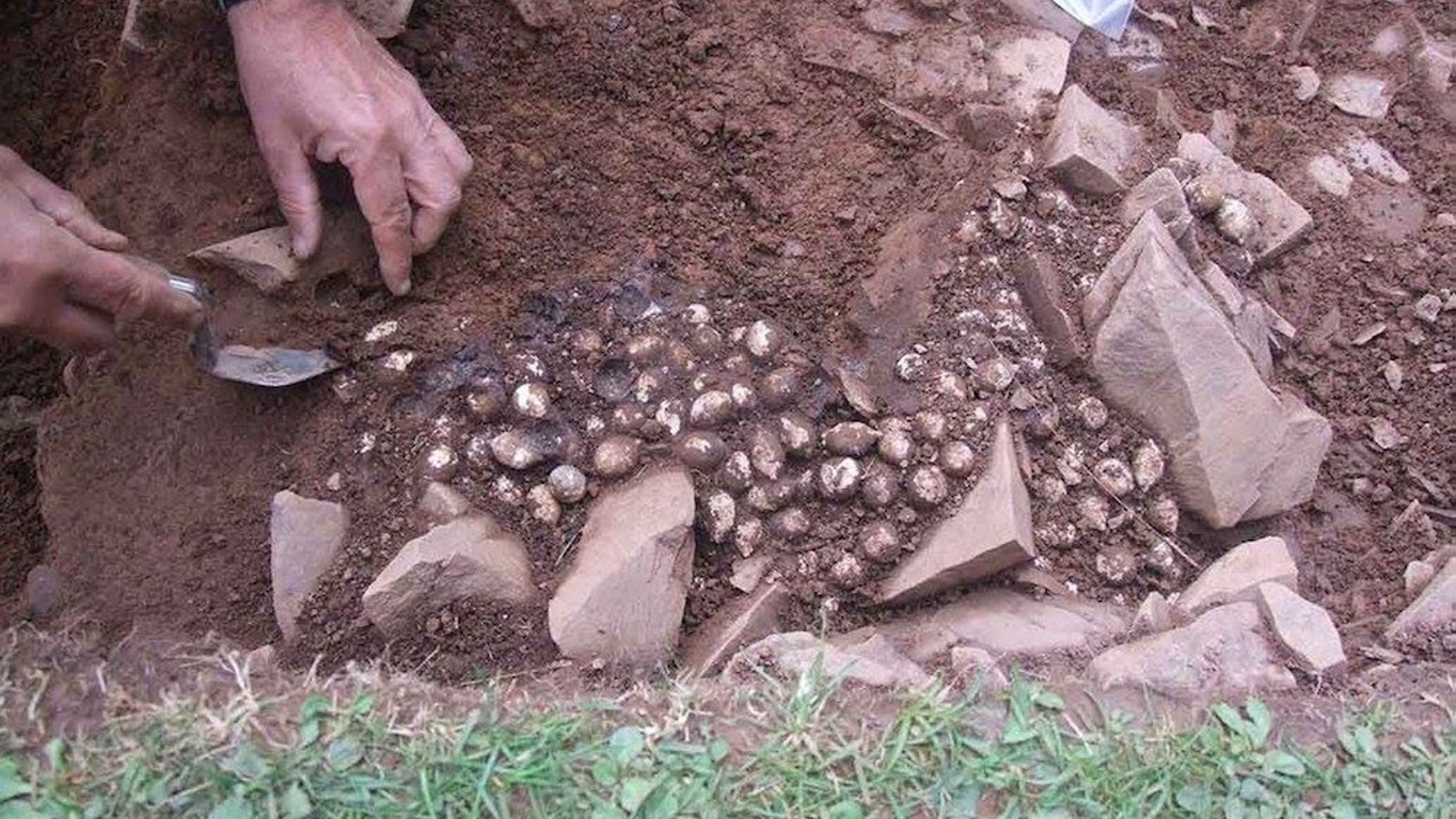 An archaeologist at an ancient battlefield site in Scotland unearths the largest cache of Roman lead sling bullets ever found.