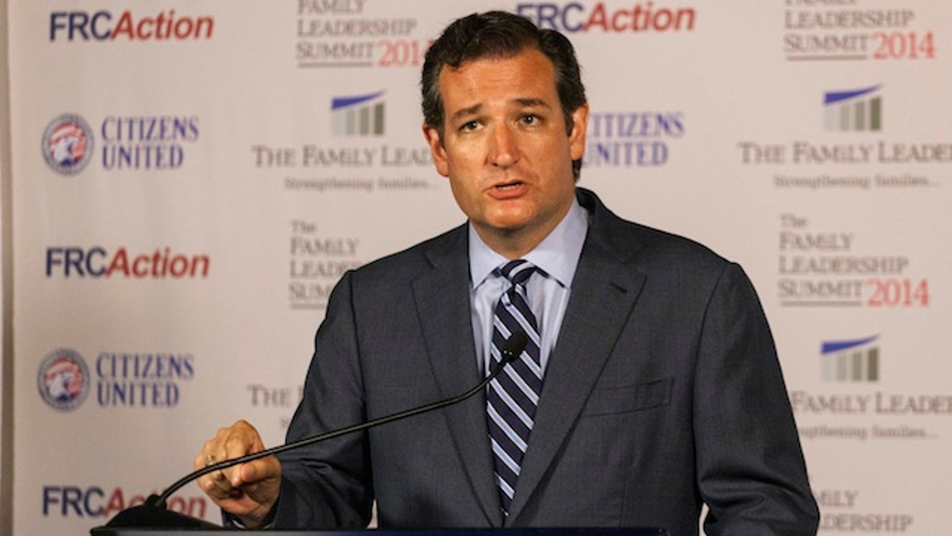 Texas Sen. Ted Cruz speaks after the Family Leadership Summit in Ames, Iowa August 9, 2014. (REUTERS/Brian Frank)