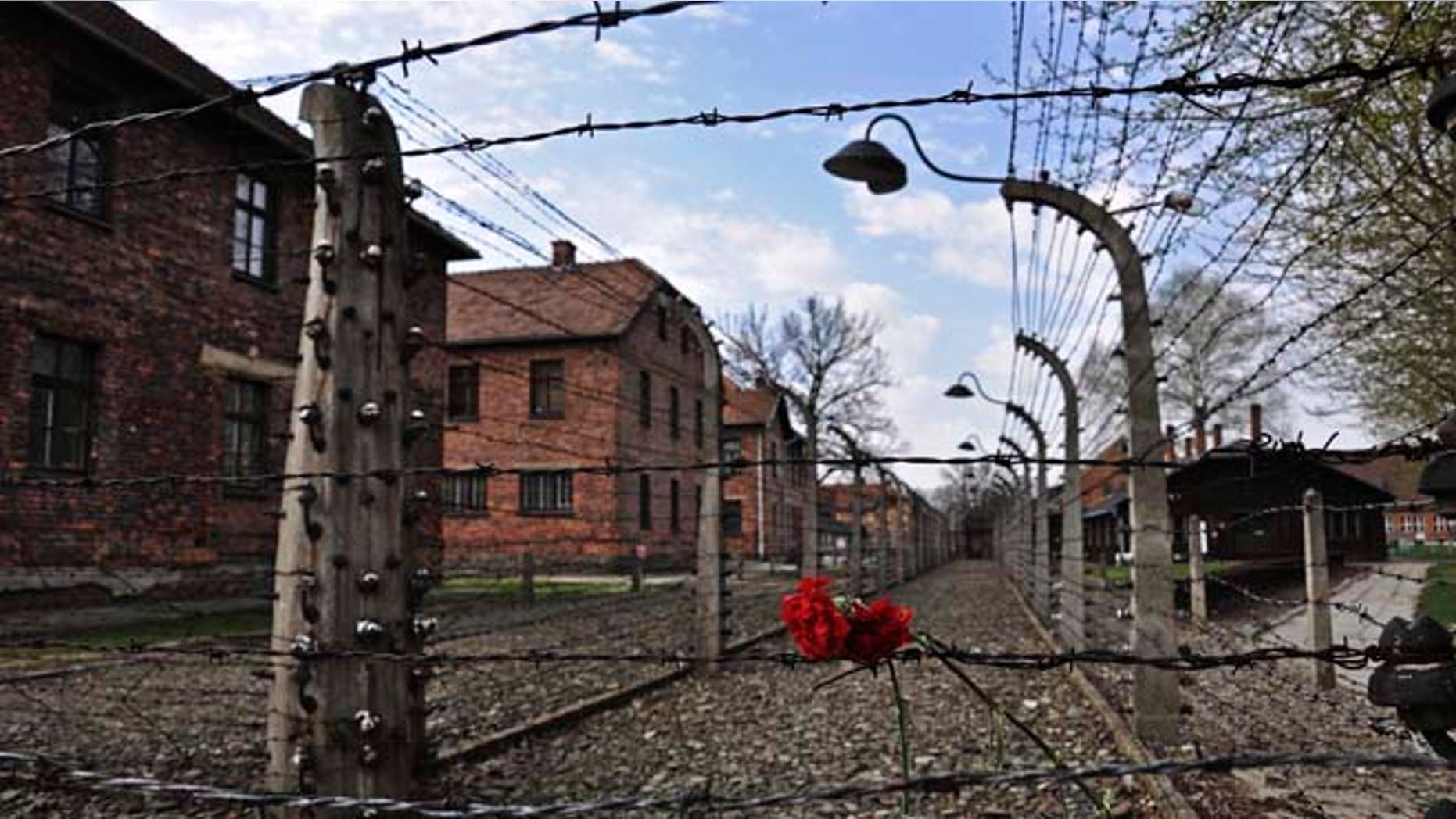 April 16, 2015: Carnations are placed on the barbed wire in the former Nazi death camp of Auschwitz.