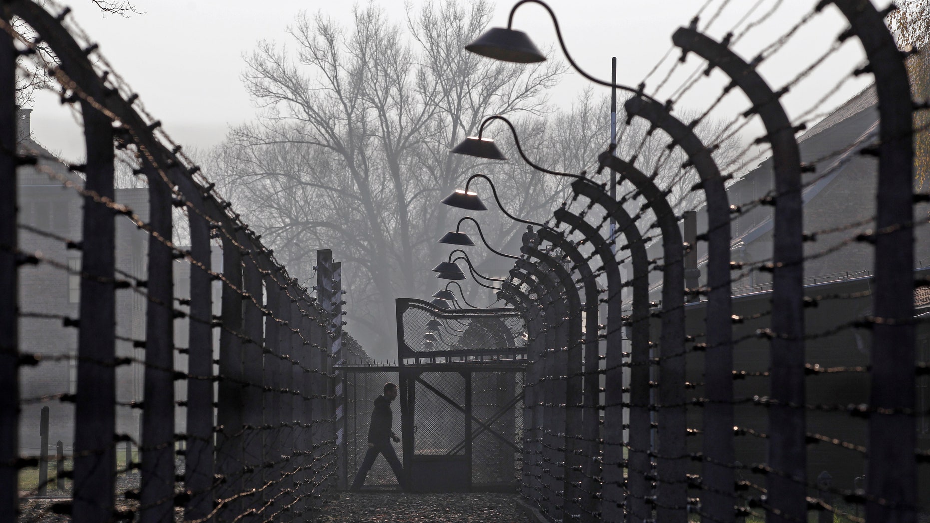 November 18, 2013 - FILE photo of a visitor walking between electric barbed-wired fences at the Auschwitz-Birkenau memorial and former concentration camp .