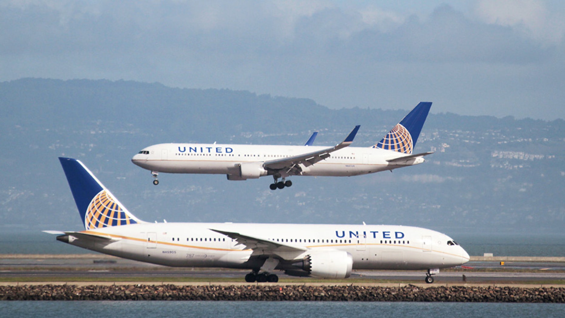 United Airlines is being sued over a giant rabbit's death.