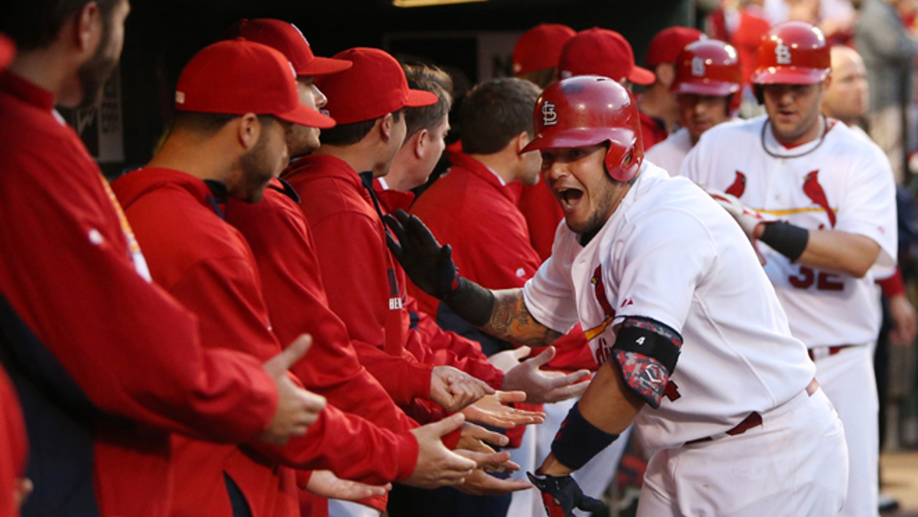 St. Louis Cardinals' Yadier Molina celebrates with teammates in the dugout after hitting a three-run home run against the Milwaukee Brewers in the first inning of a baseball game Tuesday, April 29, 2014, in St. Louis. The Brewers won 5-4 in 11 innings. (AP Photo/St. Louis Post-Dispatch, Chris Lee) EDWARDSVILLE OUT ALTON OUT