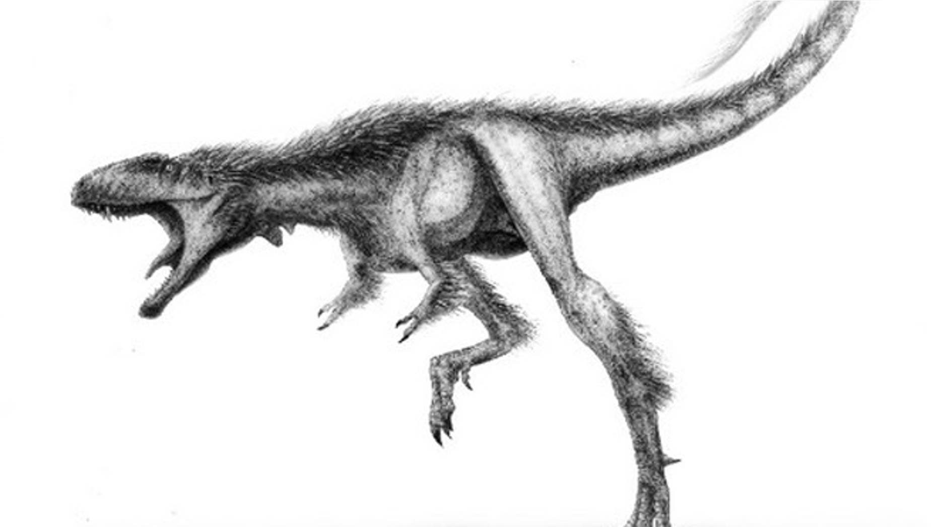 After a fossil collector donated this skeleton, paleontologist Paul Sereno described it as a new species of tiny tyrannosaur called Raptorex.