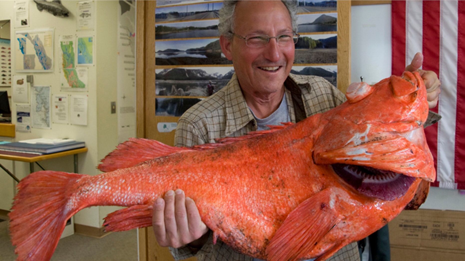June 21: Sport fisherman Henry Liebman, from Seattle, holds his shortraker rockfish at the Alaska Department of Fish and Game office.