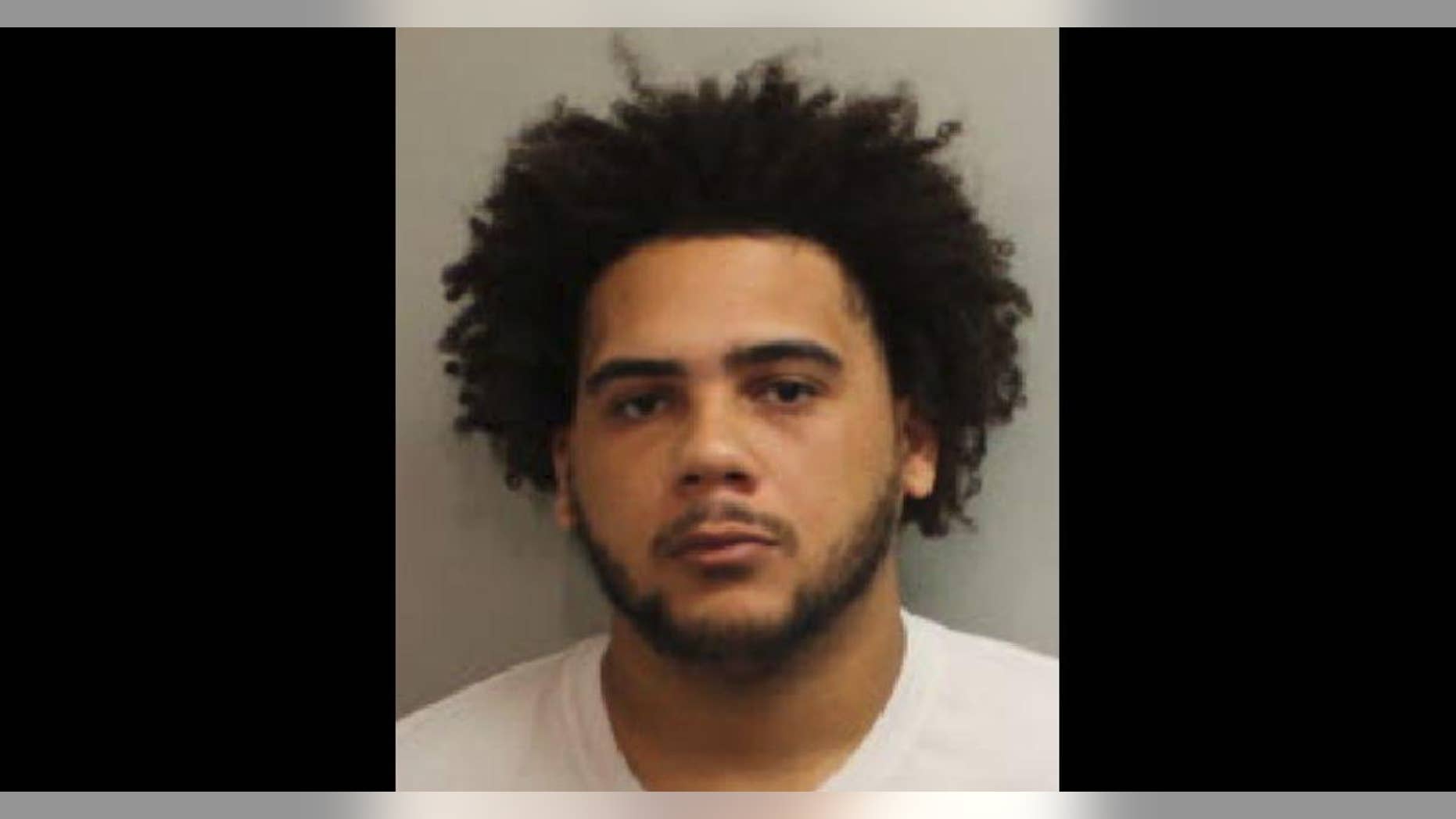 Andru Rae’sion Reed, 21, was arrested and charged with “offenses against intellectual property” and “offense against users of computer systems,” both third-degree felonies.