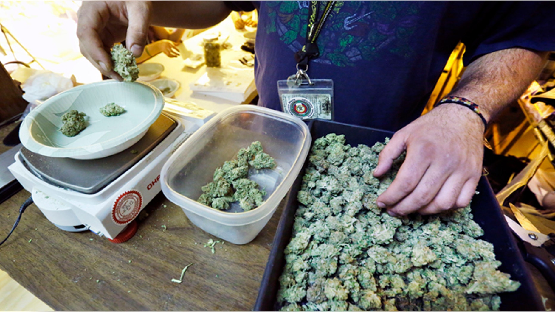An employee weighs portions of retail marijuana to be packaged and sold at 3D Cannabis Center in Denver.