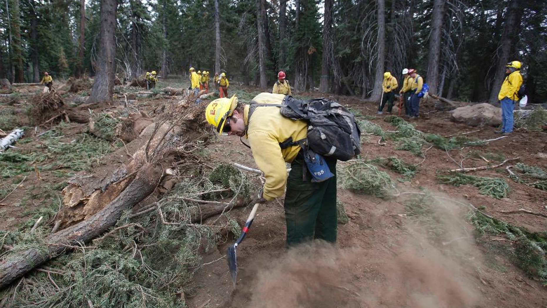 FILE - In this Sept. 25, 2013 file photo, Scott Small, and other National Forest Service crew members work to restore terrain that was bulldozed for a firebreak in the battle against Rim Fire on a nordic ski trail along Dodge Ridge in the Stanislaus National Forest, near Tuolumne City, Calif. The Forest Service says it will release a final decision Wednesday, Aug. 27, 2014, on how much timber to log from the Sierra Nevada's largest wildfire in recorded history. Last year's Rim Fire burned 400 square miles including parts of Yosemite. A debate has since raged about sending burned and dead trees to lumber mills or leave them and let nature take its course. (AP Photo/Rich Pedroncelli, File)