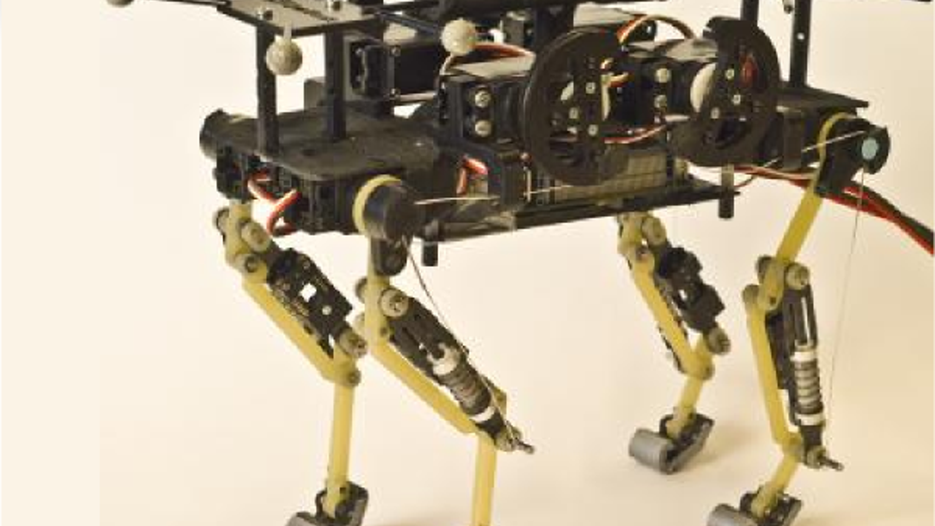 This is Cheetah-cub, a robust quadruped robot.