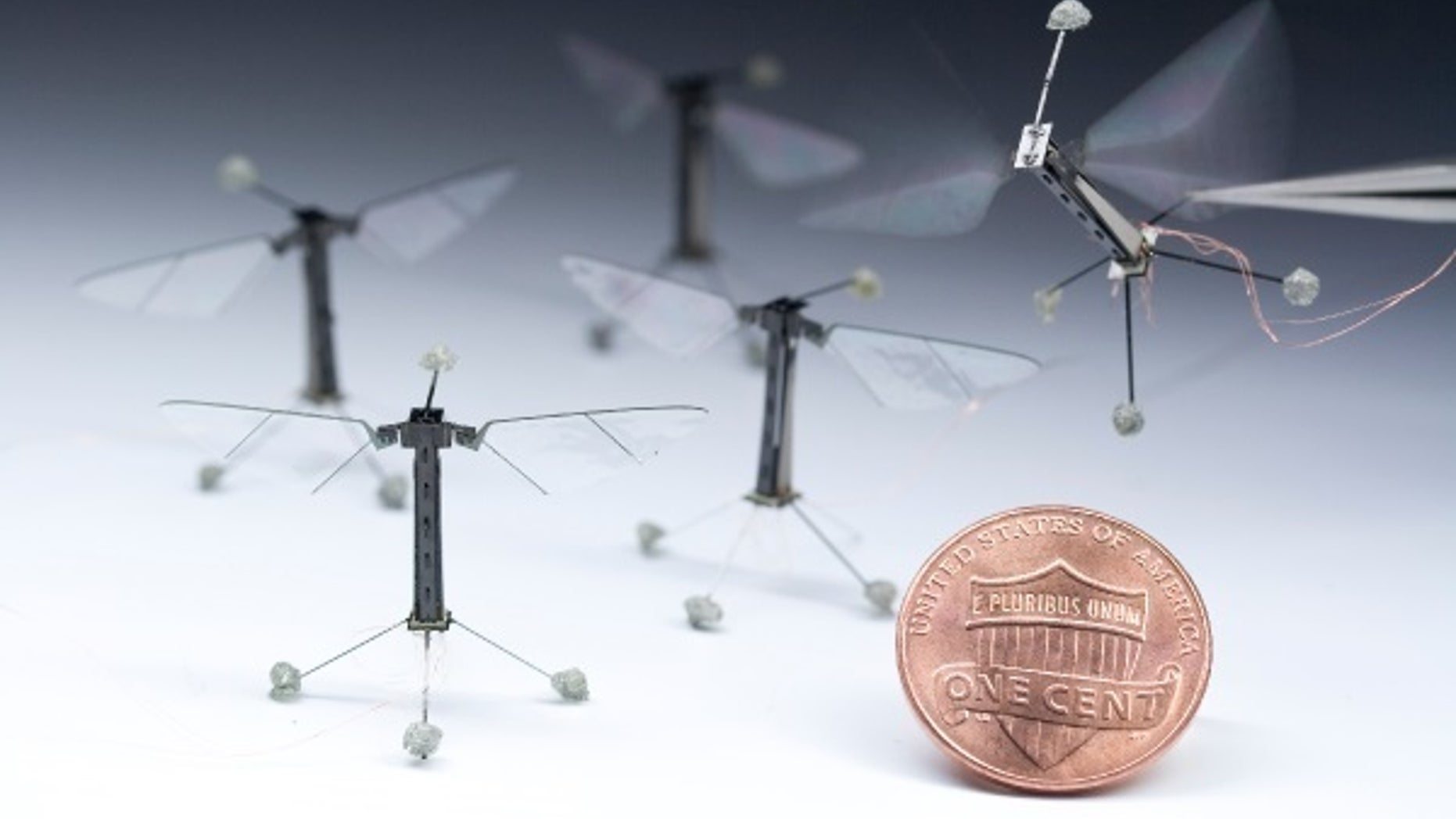 The RoboBee is the smallest flight-capable robot to date.