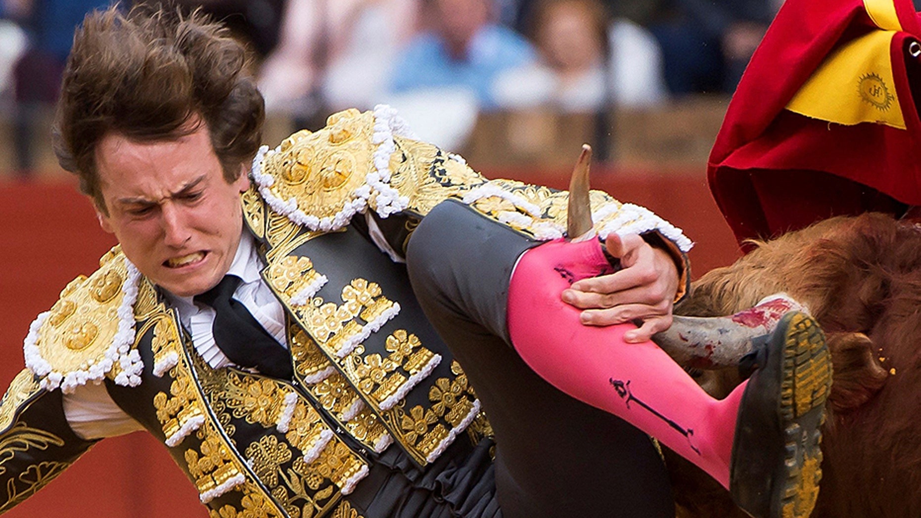 Matador brutally speared by bull in return to ring after vicious goring ...