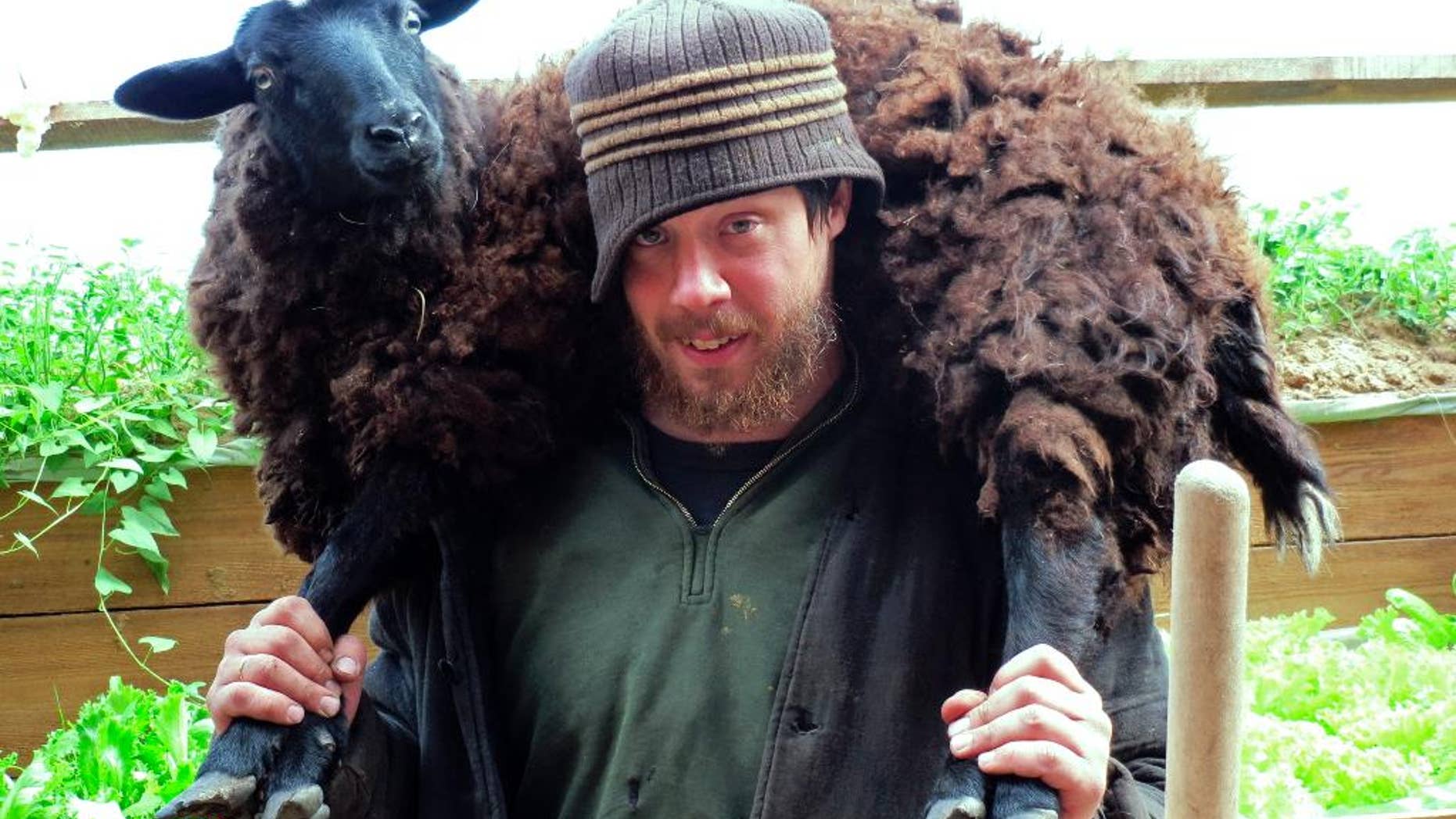 In this handout photo taken on Friday, May 30, 2014, Justus Walker carries a sheep near the eastern Siberian city of Krasnoyarsk, Russia.