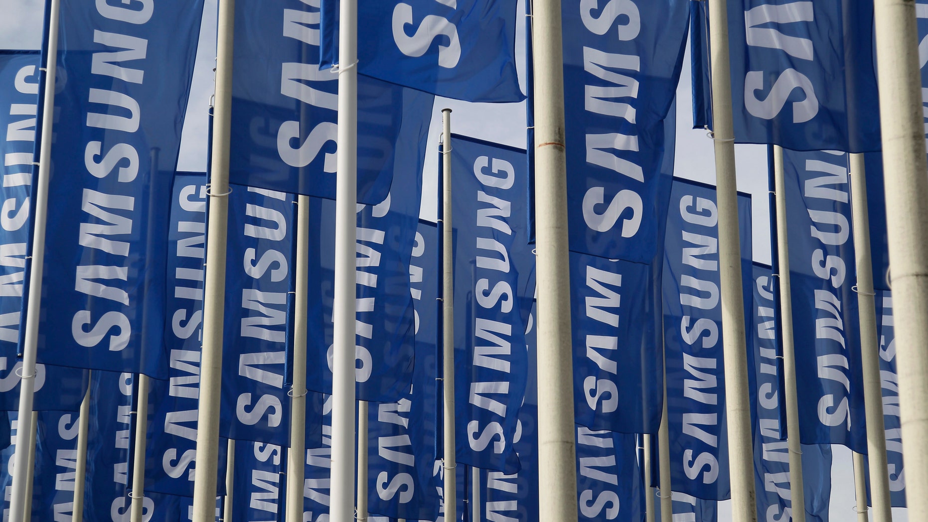 Samsung flags are set up at the main entrance to the Berlin fair ground before the IFA consumer electronics fair in Berlin, August 28, 2012. The IFA consumer electronics and home appliances fair will open its doors to the public from August 31 till September 5 in the German capital. REUTERS/Tobias Schwarz (GERMANY - Tags: SCIENCE TECHNOLOGY BUSINESS) - RTR376S8
