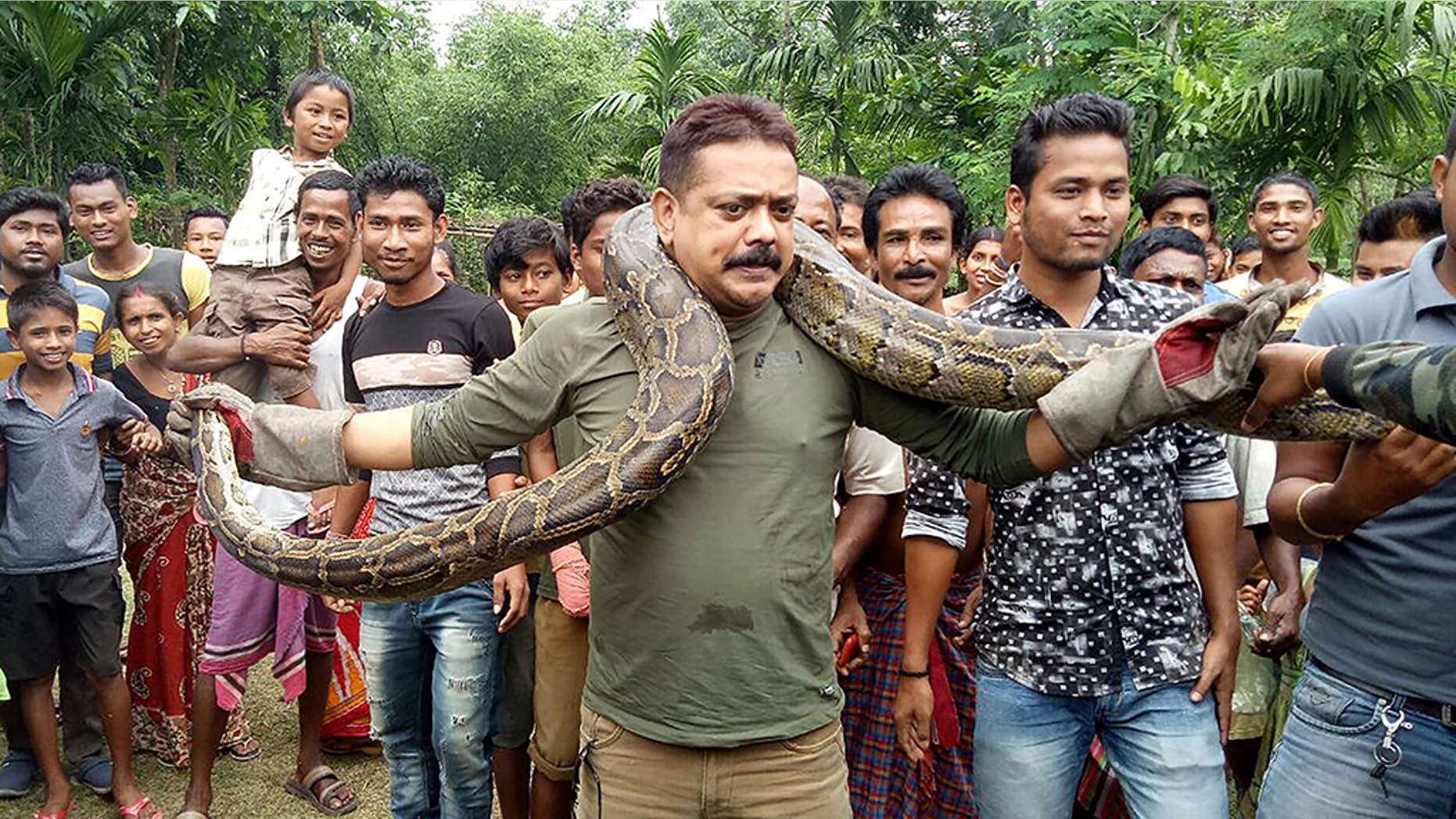 Forest ranger officer Sanjay Dutta (C), holds a 30 feet long python weighing 90lbs at Sahebbari village in Jalpaiguri district