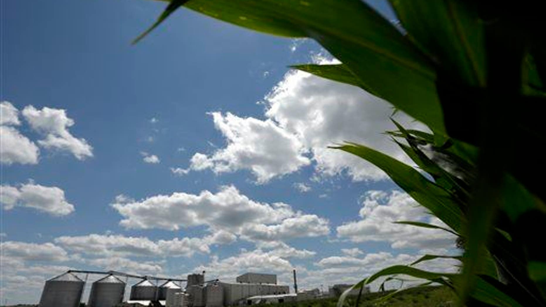 In this July 20, 2013 file photo, a plant that produces ethanol is next to a cornfield near Coon Rapids, Iowa.