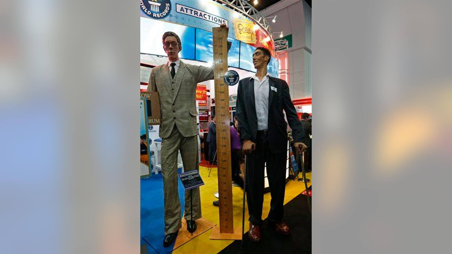 The world's tallest man, Sultan Kosen of Turkey, measuring 8 feet 3 inches, right, poses next to a figure of the tallest man in history, Robert Wadlow.