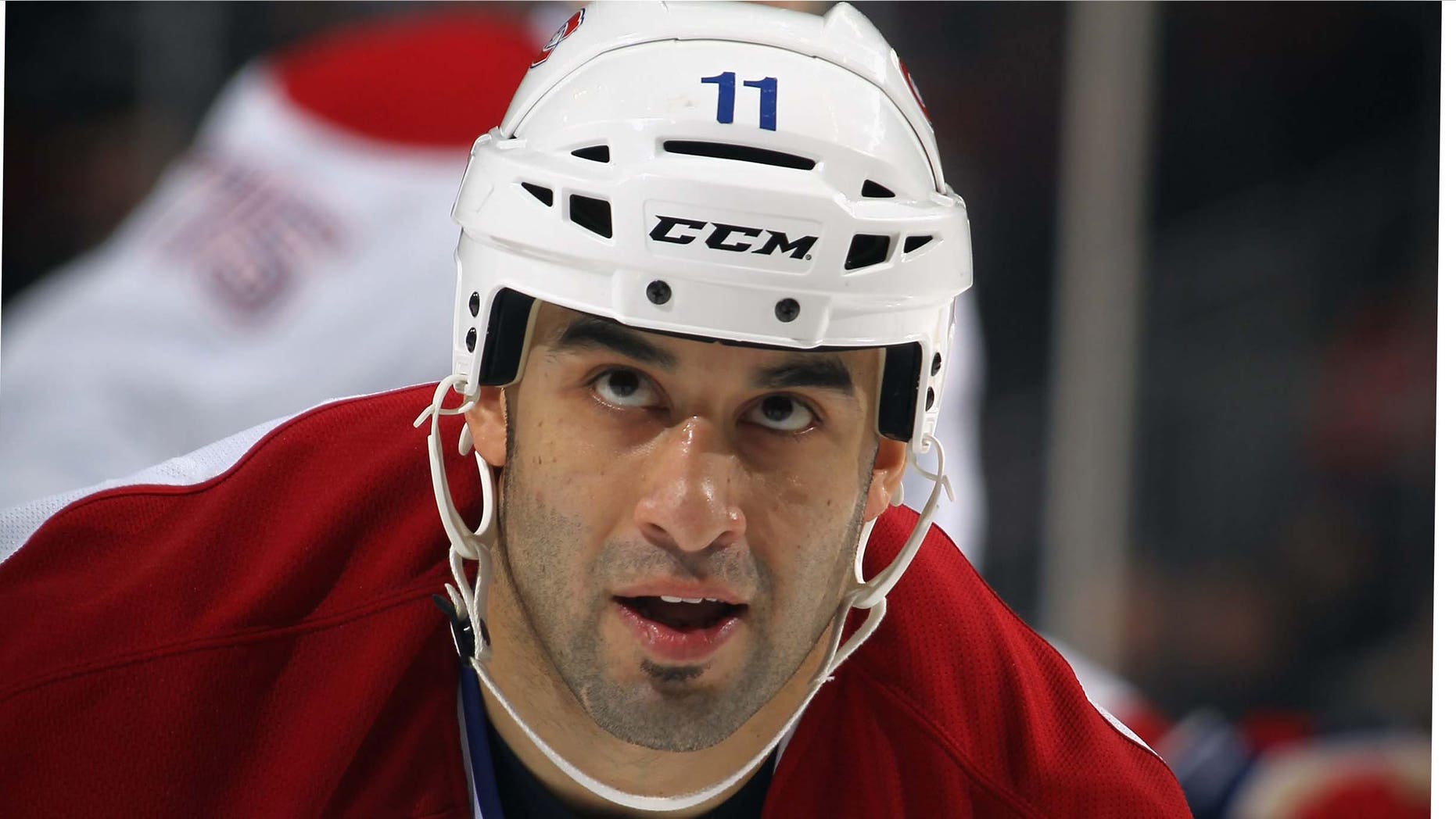 Montreal Canadien Scott Gomez is the NHL's only Mexican-American hockey player.