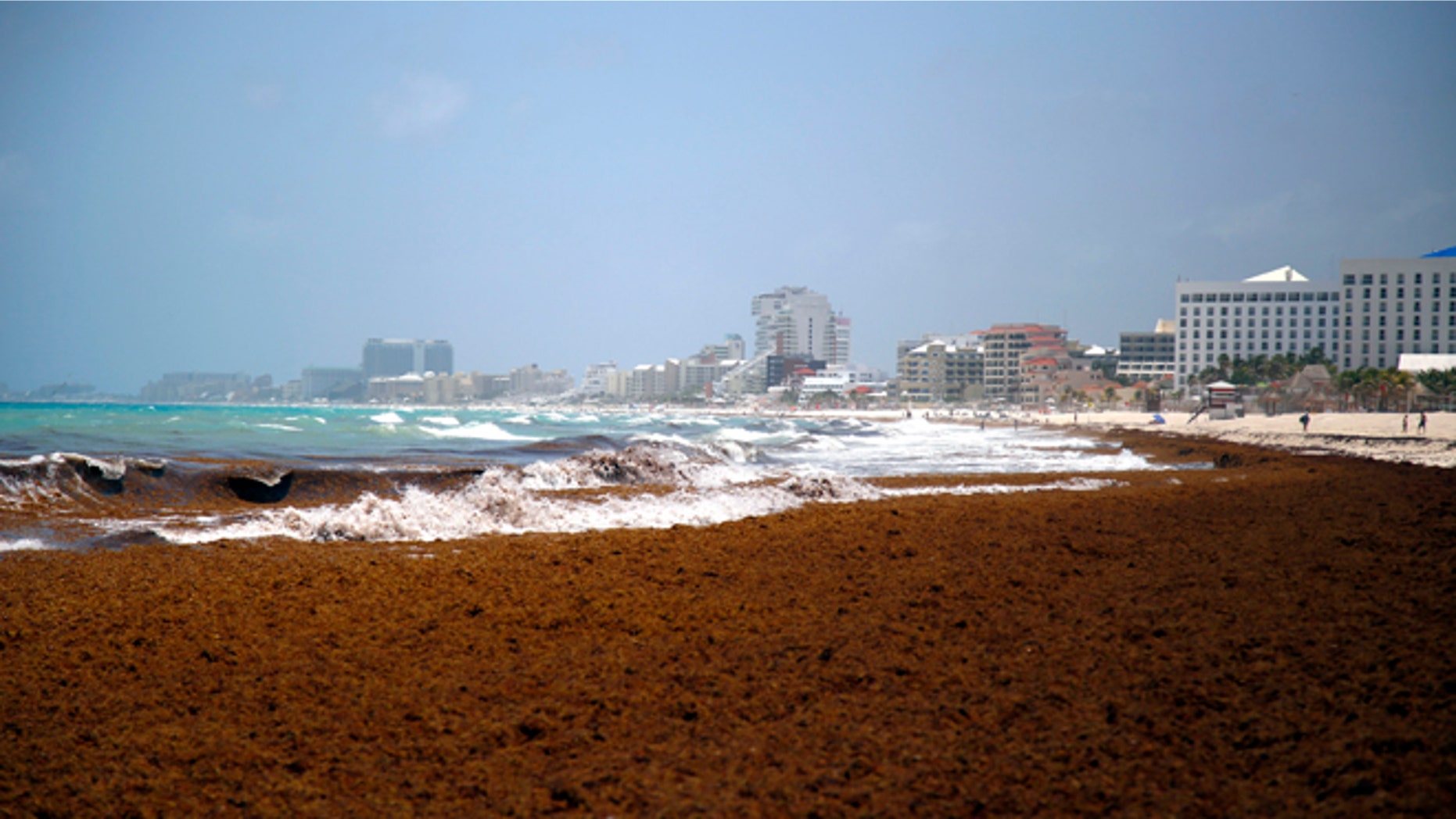 Large quantities of seaweed blanket the beach in the Mexican resort city of Cancun, Mexico, Wednesday, July 15, 2015. The seaweed invasion, which appears to have hit most of the Caribbean this year, is generally considered a nuisance and has prompted some hotel cancellations from tourists but scientists consider washed-up seaweed an important part of the coastal eco-system and plays a role in beach nourishment although some scientists have also associated the large quantities of seaweed this year in the Caribbean region with higher than normal temperatures and low winds, both of which influence ocean currents, and they draw links to global climate change. (AP Photo/ Israel Leal)