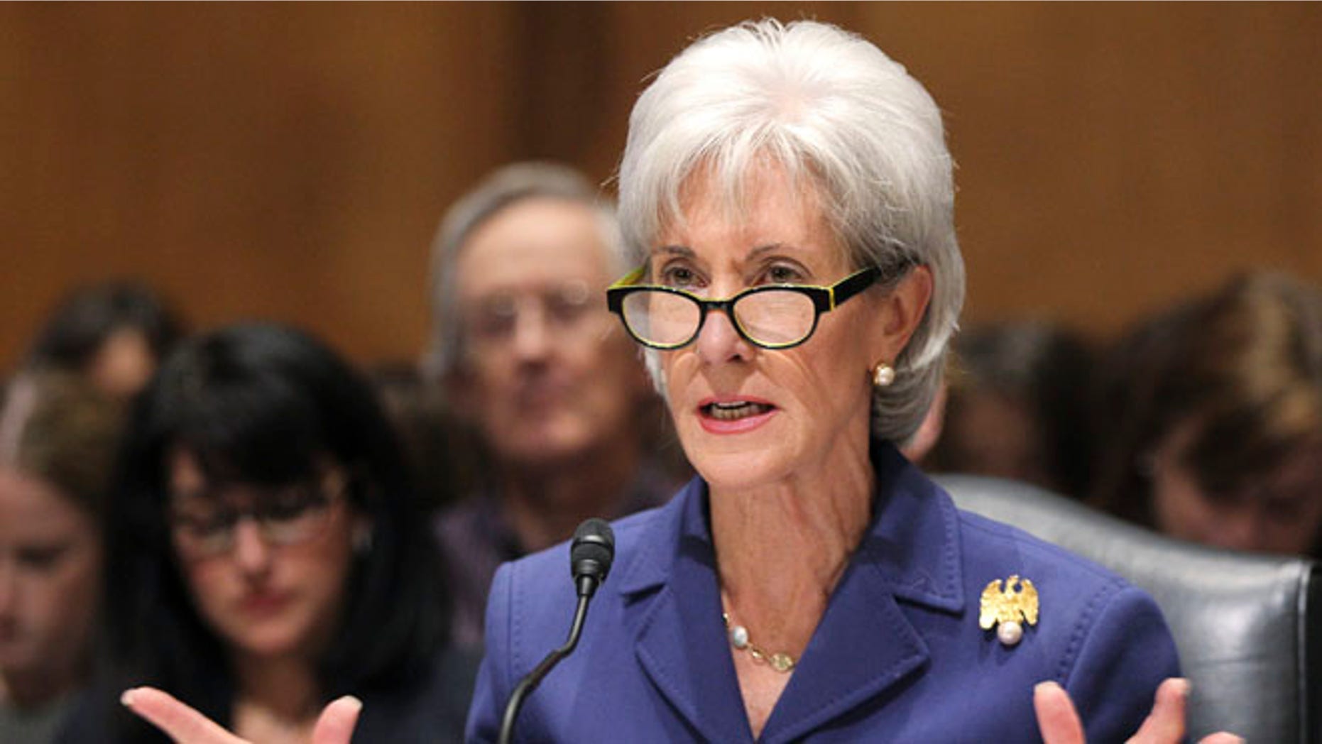 FILE: Nov. 6, 2013: Health and Human Services Secretary Kathleen Sebelius testifies on Capitol Hill.