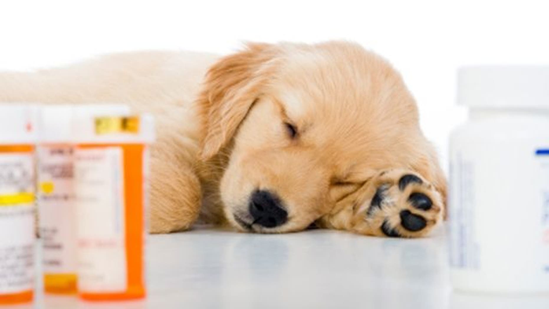 The FDA estimates that thousands of dogs in the U.S. have become sick in the past six years after eating pet jerky from China.