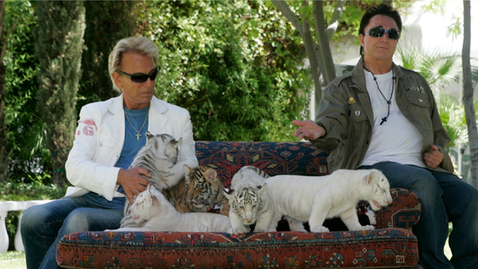 Illusionists Siegfried Fischbacher, left, and Roy Horn display 6-week-old tiger cubs at their home in Las Vegas, Nevada June 12, 2008.