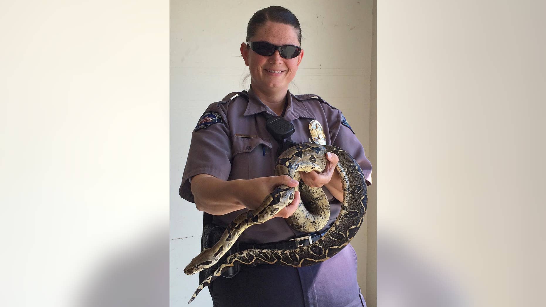 In this Sept. 13, 2014 photo released by the Nampa Police Dept., animal control officer Kimberly Mink holds a boa constrictor that went missing and was found in Nampa, Idaho. The 9-foot Columbian boa constrictor named Trinity that escaped its southwest Idaho cage was found after two days on the loose. Trinity didn't appear to have traveled far after being spotted Sunday in the garage that holds the snake's cage. Jittery neighbors with small pets and children went on alert after the owner reported to Nampa police on Saturday that the snake disappeared Friday afternoon and hadn't eaten for three weeks. (AP Photo/Nampa Police Dept.)