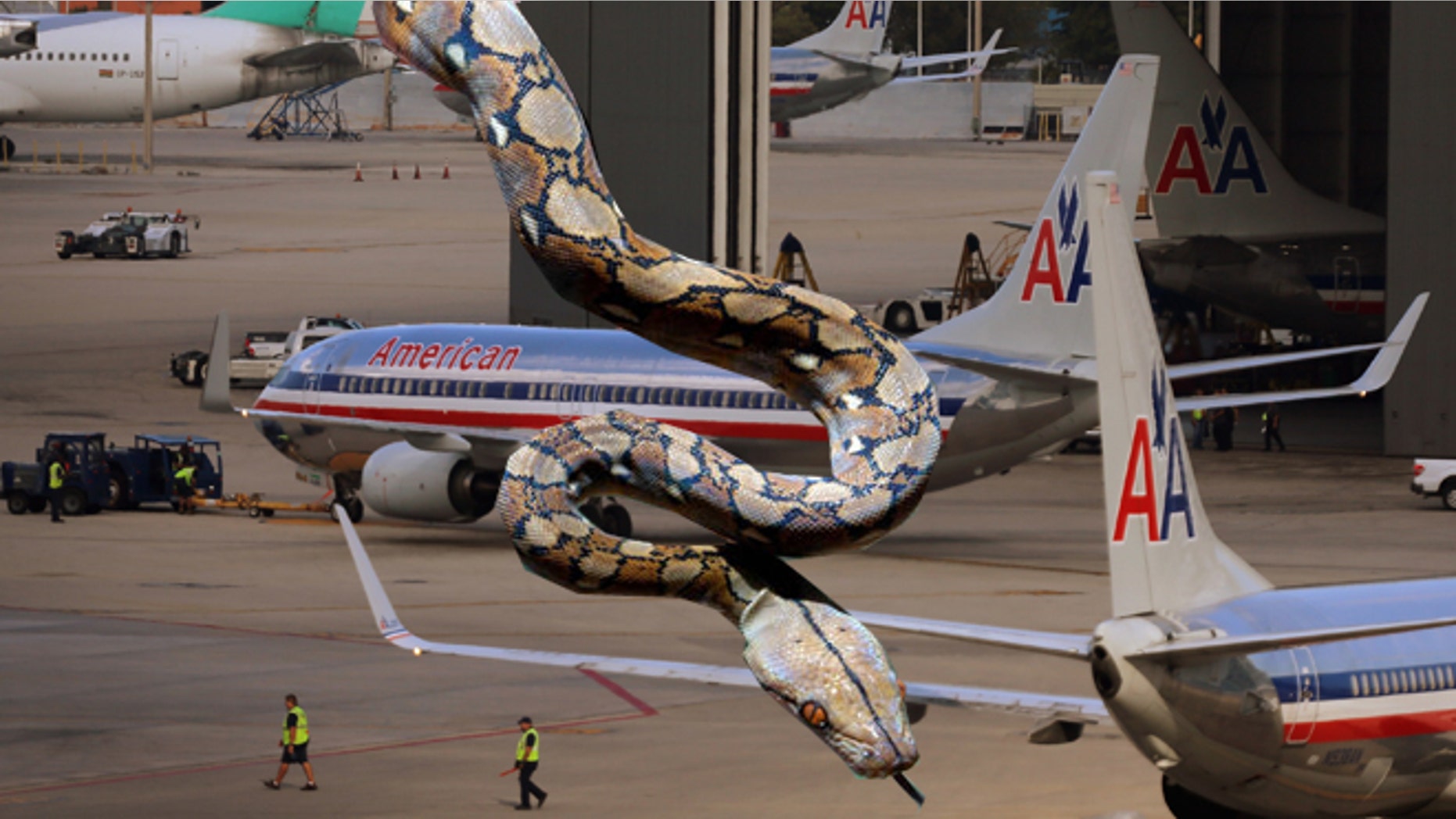 MIAMI, FL - FEBRUARY 13: American Airlines planes are seen on the tarmac at the Miami International Airport on February 12, 2013 in Miami, Florida. Reports indicate that a deal between American Airlines and US Airways to merge is set to be announced as early as tomorrow. If the deal goes through it would create the world's biggest airline. (Photo by Joe Raedle/Getty Images)