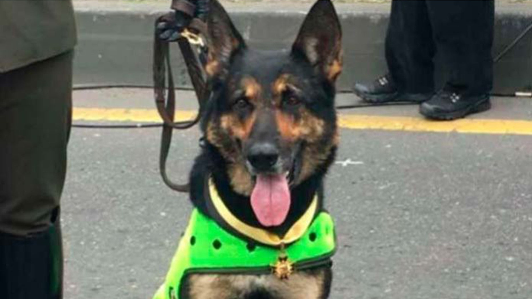The powerful Colombian drug gang Urabeños put a hit out for Sombra, a 6-year-old German shepherd, who recently sniffed out more than 22,000 pounds of the gang's cocaine supply.