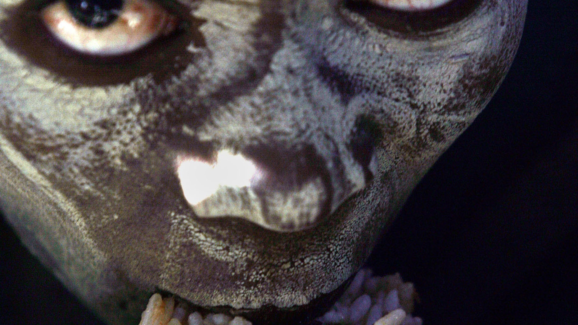 July 7, 2006 - FILE photo of an unidentified initiate, with his face caked in white lime clay, eating rice from his blanket during his rite of transformation from a boy to manhood near Port St. John's, South Africa.