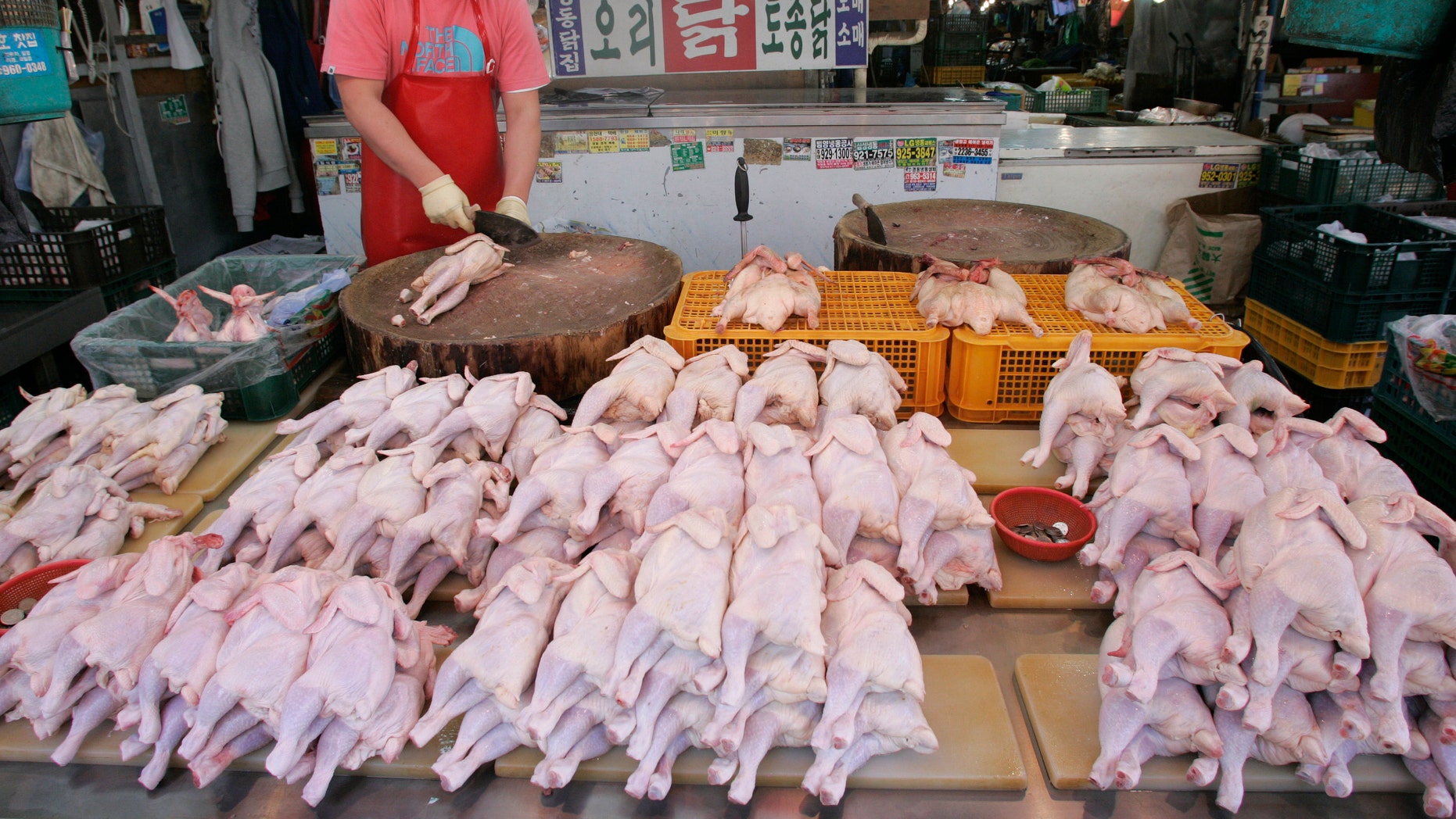 South Korea Culls Over 6 Percent Of Poultry To Curb Bird Flu Fox News 5917