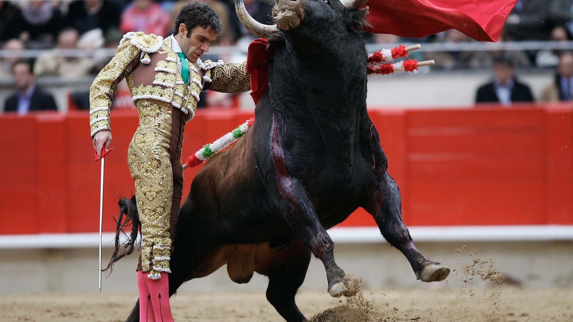 Spanish bullfighter Jose Tomas makes a pass during a bullfight at the Monumental Bullring in Barcelona. Tomas, one of Spain's top matadors known for a daring bullfighting style, will come back to the bullring Saturday, July 23, 2011 in Valencia, Spain after he was seriously injured in Mexico over a year ago.