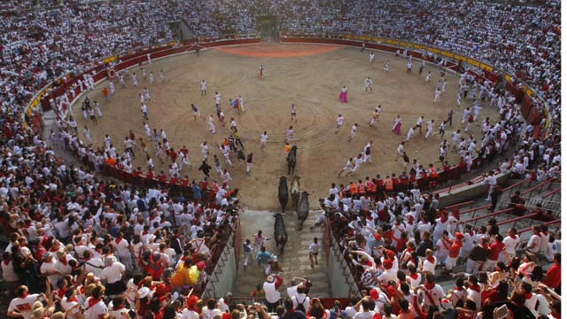 July 14, 2013: Runners arriving to the bull ring with "Miura" fighting bulls during the eighth and last running of the bulls at the San Fermin festival, in Pamplona, Spain. (AP Photo/Alvaro Barrientos)