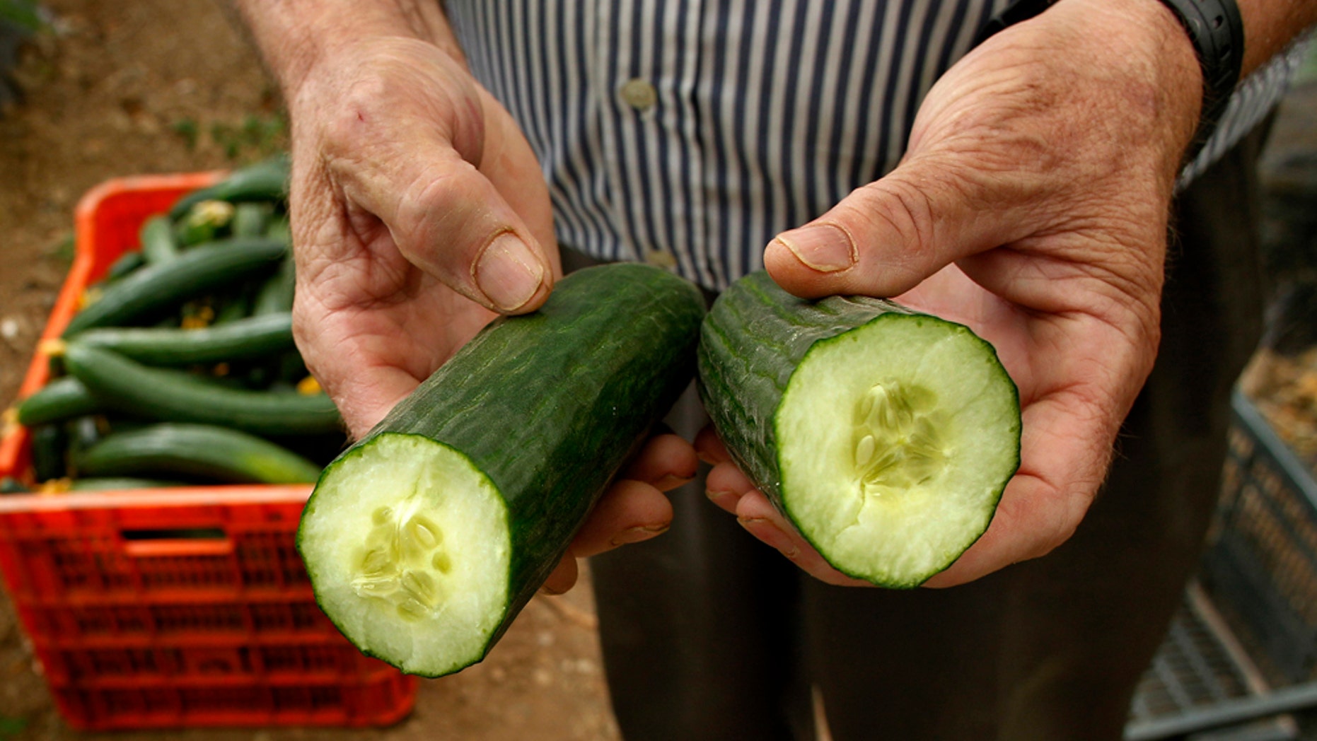 Contaminated cucumbers from Spain may have killed 16 people and sickened dozens of others in Europe in a mysterious bacterial outbreak linked to E. coli.
